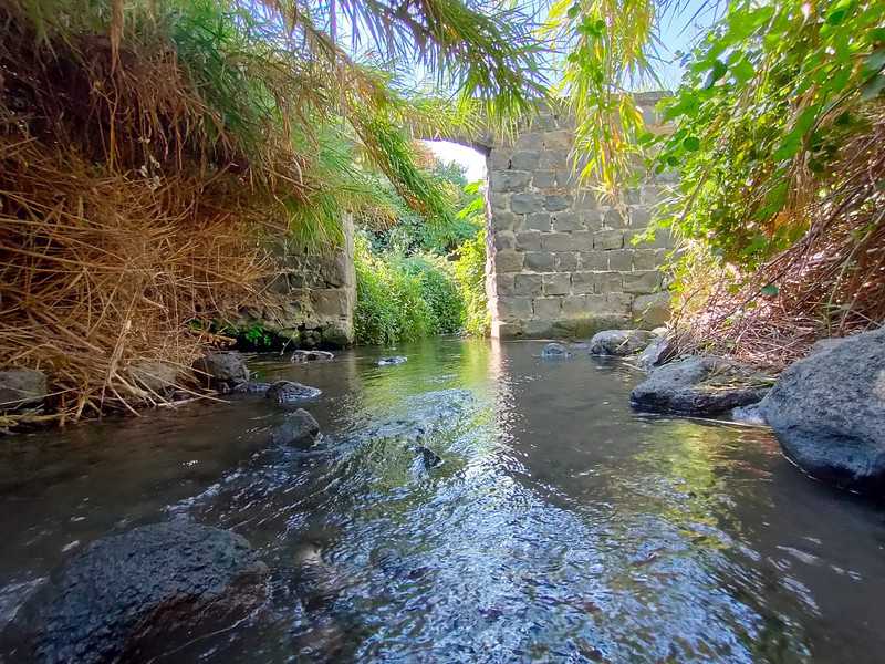 חלק מתחנת הקמח בעין דיבשה (טחונת א-דרבשיה)