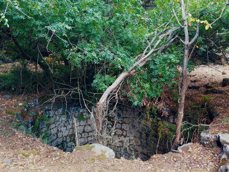 היער כיסה את הג'ובות, טיפס על קירות האבן המרשימים בחורבנם, וסוכך על בור מים שהשתמר היטב