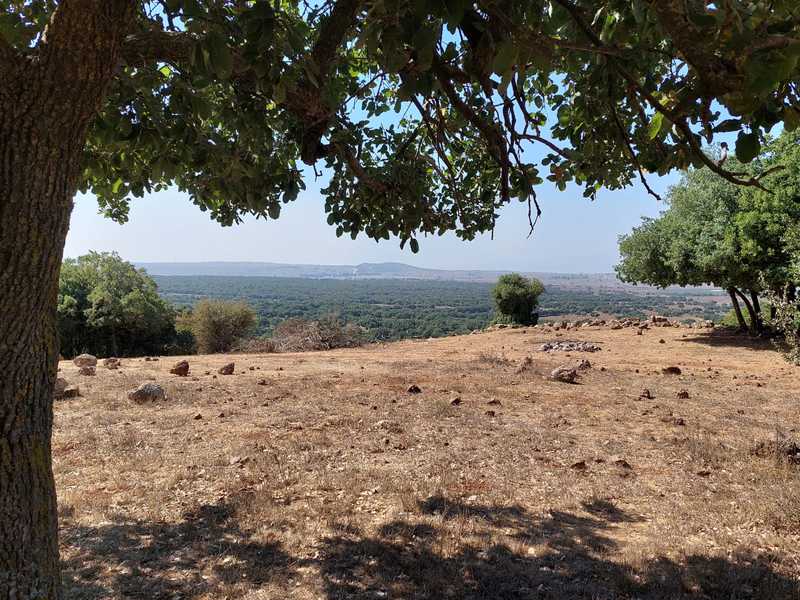 שולחן תצפית בראש מצוק גבוה הצופה דרומה אל התילים הגעשיים בנטל, אביטל והר שיפון כפול החמוקיים