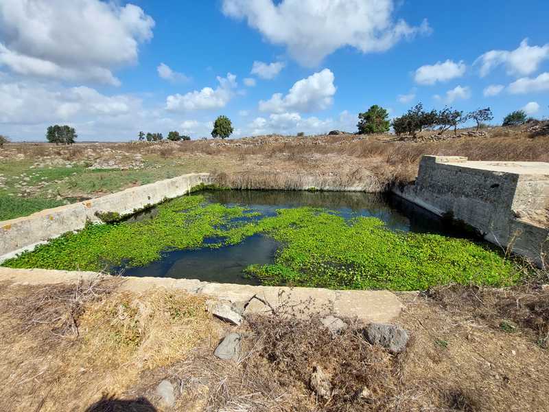 מבריכת המעיין ומטעי התאנים של הכפר דווארה