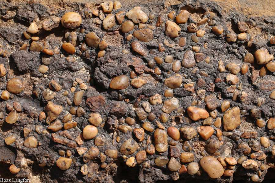 חלוקי קוורץ מלוכדים באבן חול גסה, דרום ירדן