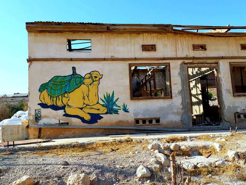 מאז הוא כאן, חי במוזיאון טבע נטוש בין פלגי מים זורמים במדבר פלאים לחופו של ים שכולו מלח