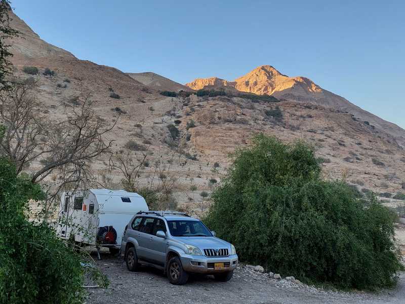 התמקמתי בחצר ביתו הקט של הקוסם מארץ עוץ בין העצים בנווה מדבר