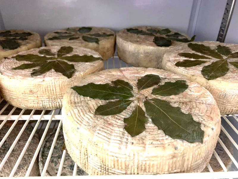 גבינות של דיר עזיז | צילום: גיא מלל