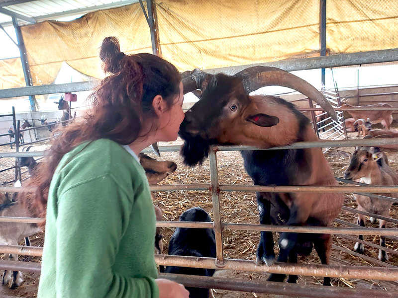 שירי בדיר המשפחתי