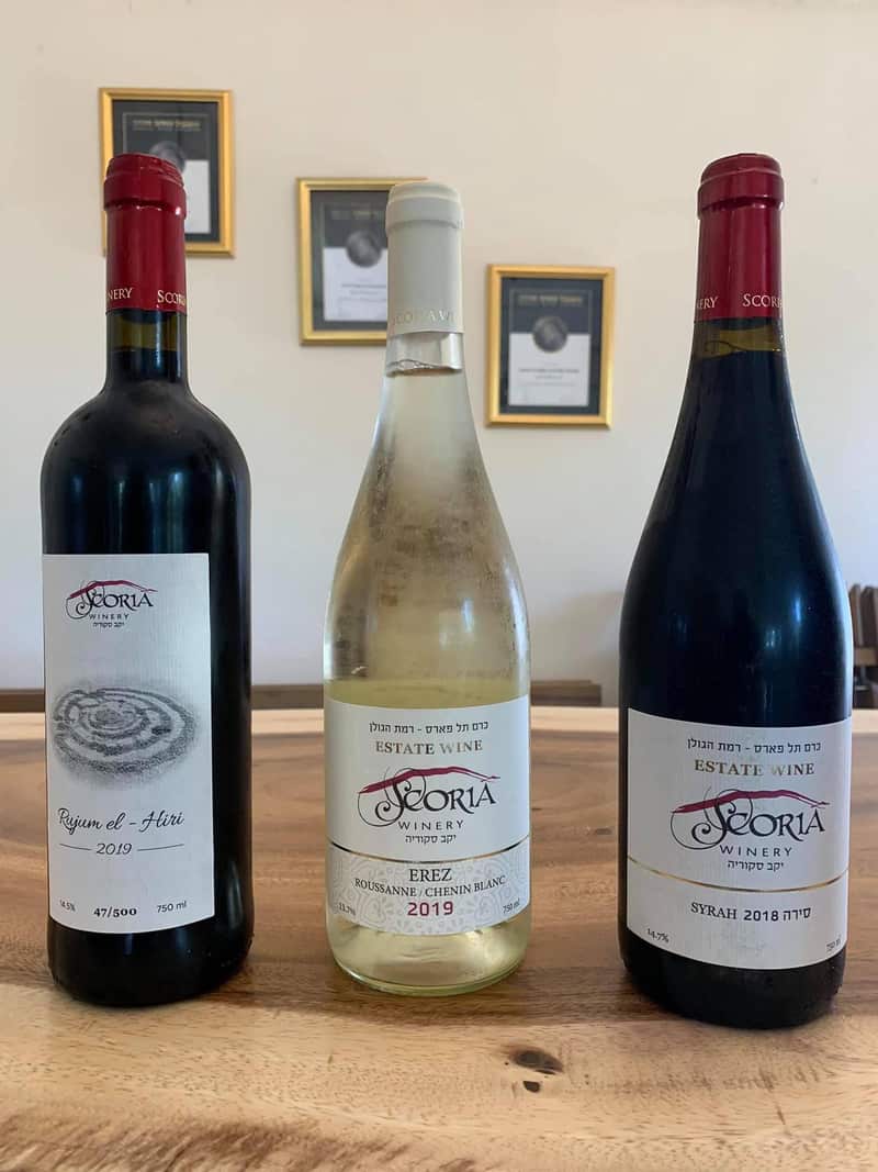 יינות של יקב סקוריה. "אנחנו לא מוכרים יין, אנחנו מוכרים סיפור", אומר עופר תורג'מן | צילום: גיא מלל