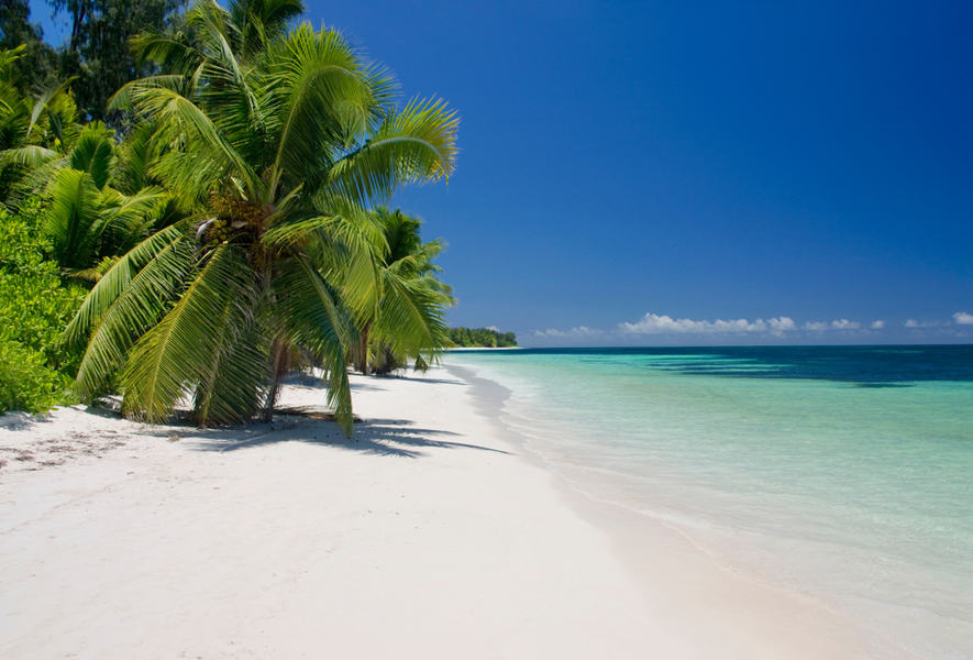 חוף מושלם באי דזרושה