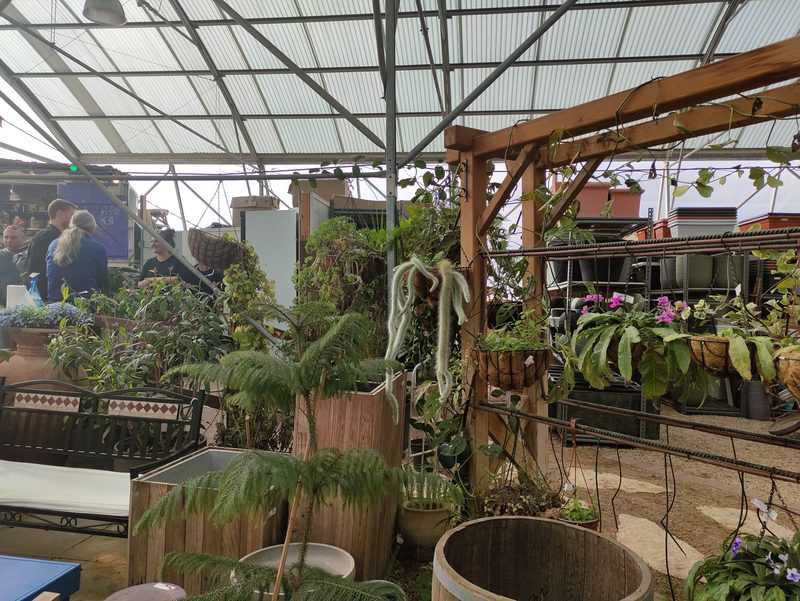 ילדתי שלי. עגלת קפה באווירה פסטורלית במשתלה