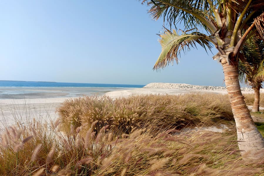 חוף בתולי בראס אל ח'ימה | צילום: רותם בר כהן