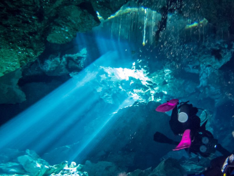 את שעות הפנאי בפלאיה דל כרמן תוכלו לבלות בצלילה בסנוטות | צילום: Steve Barze, שאטרסטוק