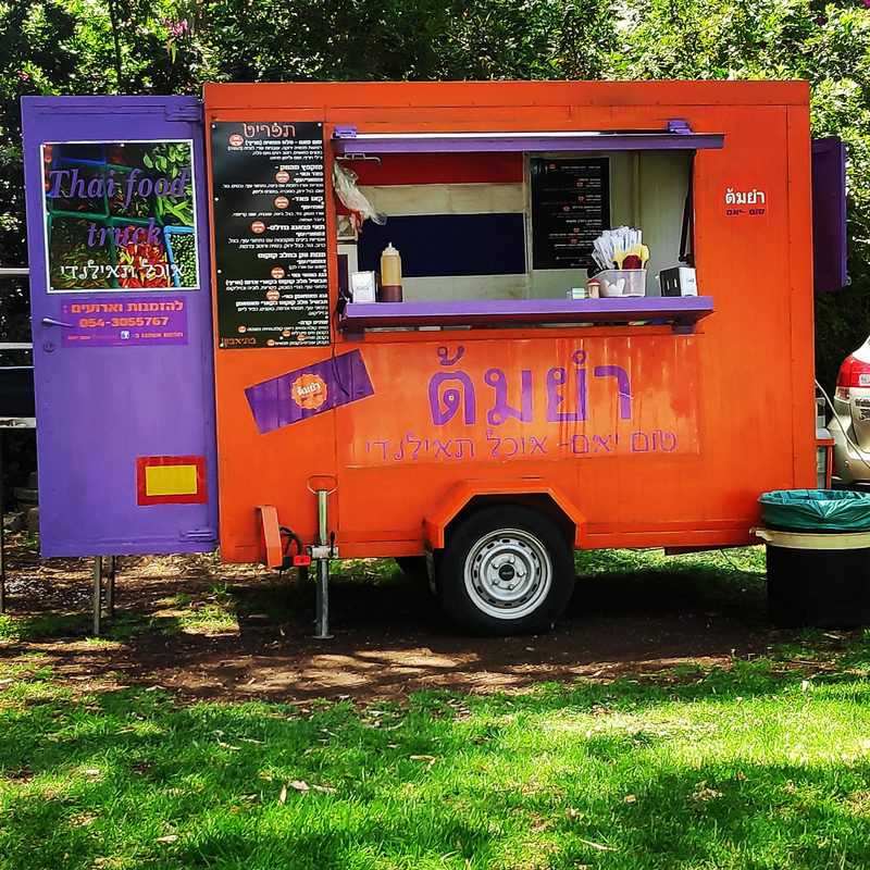 טום יאם. אוכל תאילנדי נהדר על הדשא בשדה נחמיה | צילום: יהל קדמי