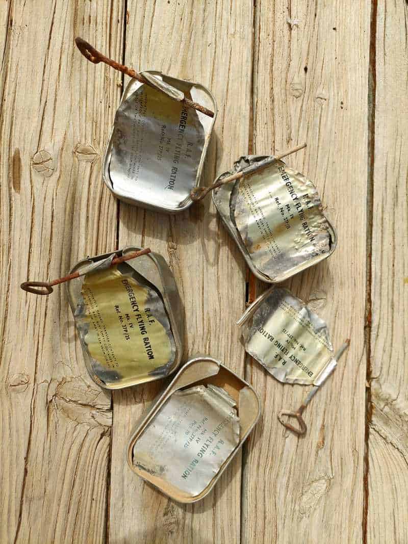 נתן פשפש בקופסה ושלף קופסת שימורים חלודה עם כיתוב באנגלית "מצאתי שתי קופסאות כאלו ליד המטוס, נראה שהטייס והנווט יצאו ללא פגע, ואכלו משהו. זמן מה לאחר מכן מצאתי עוד קופסה כזאת בבקעת עובדה, ואחר כך עוד אחת ליד באר מילחן, כך שאני יודע מה הייתה דרך המילוט שלהם אל הכוחות הבריטים שישבו אז בעקבה"