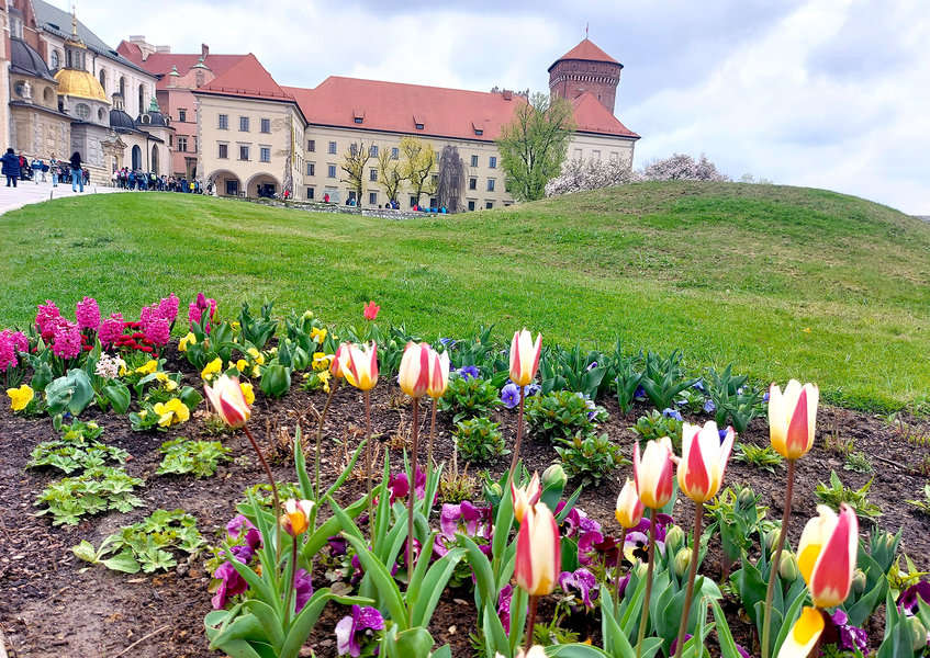 המתחם של טירת ואוול היה בעבר המרכז השלטוני והדתי של קרקוב