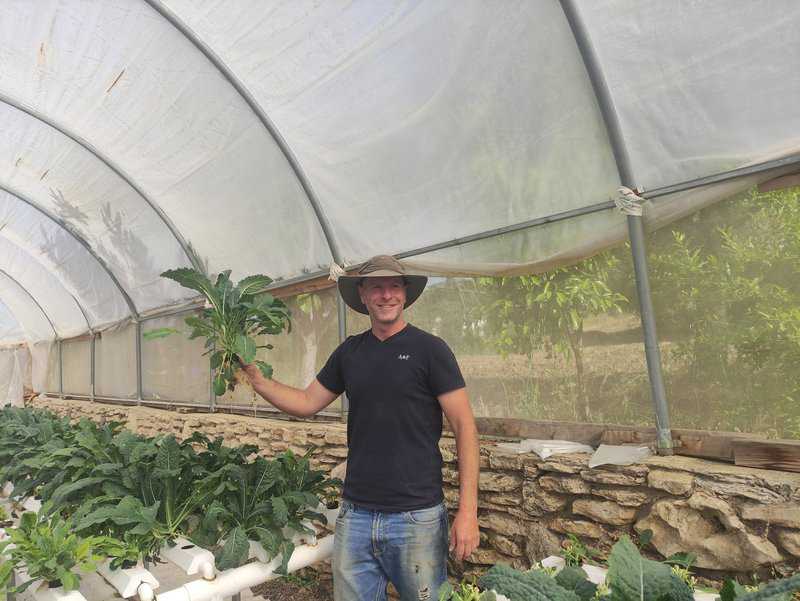 Dor Pintel in his greenhouses near Tefen.  From a guide to a farmer