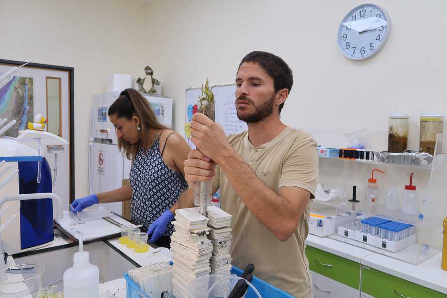 אופיר ויהל במעבדה