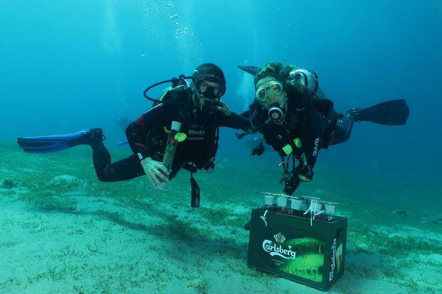 יהל ואופיר בצלילה מחקרית