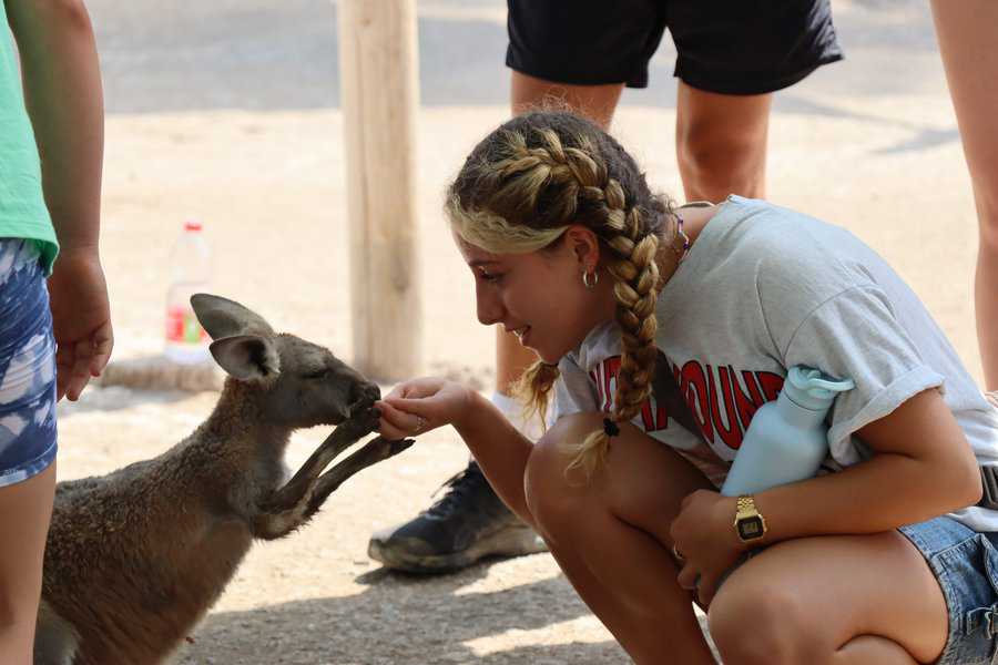 גן גורו נמצא במרחק הליכה או נסיעה קצרצרה מהצימרים של ניר דוד | צילום: ניר דוד