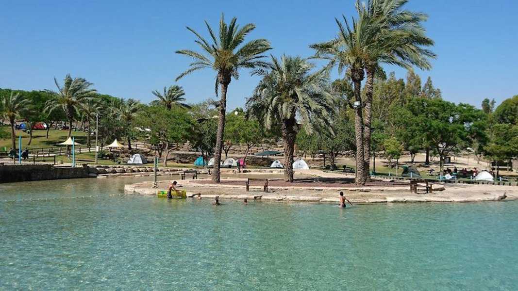 פארק גני חוגה. שפע של מים | צילום: נדב שני