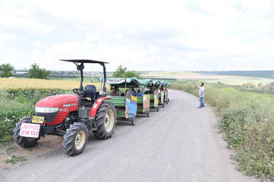 רכבת התבור בפארק דרך העץ | צילום: איציק ברוך