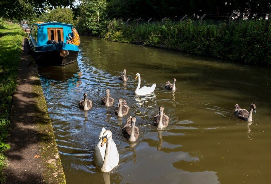 שייט תעלות באנגליה | צילום: Kev Gregory, שאטרסטוק