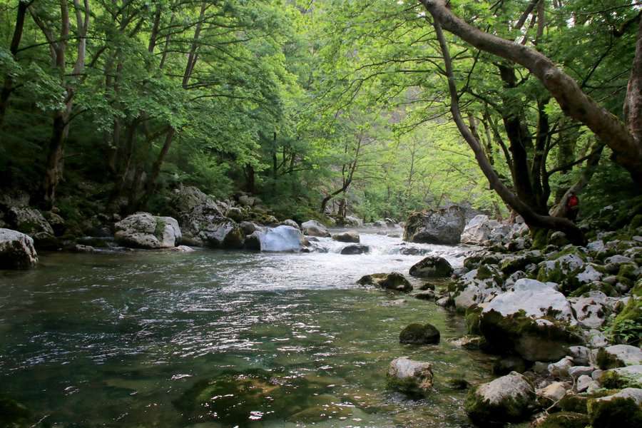 מכאן אפשר לצאת לשיט נהרות רגוע, או לצאת לטיול רגלי בשביל המלווה את הנהר עטור העצים