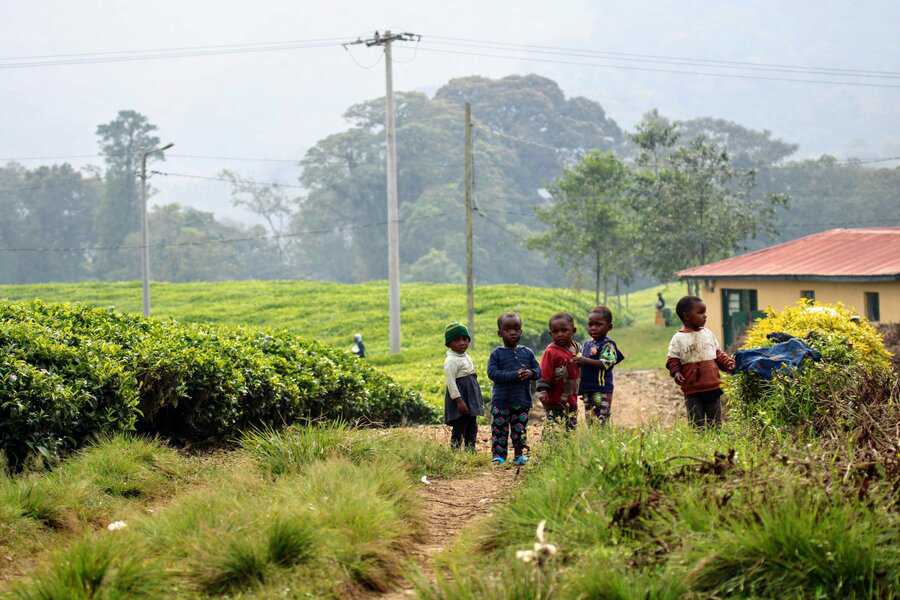 גן ילדים בשדות תה, ברקע יער גשם
