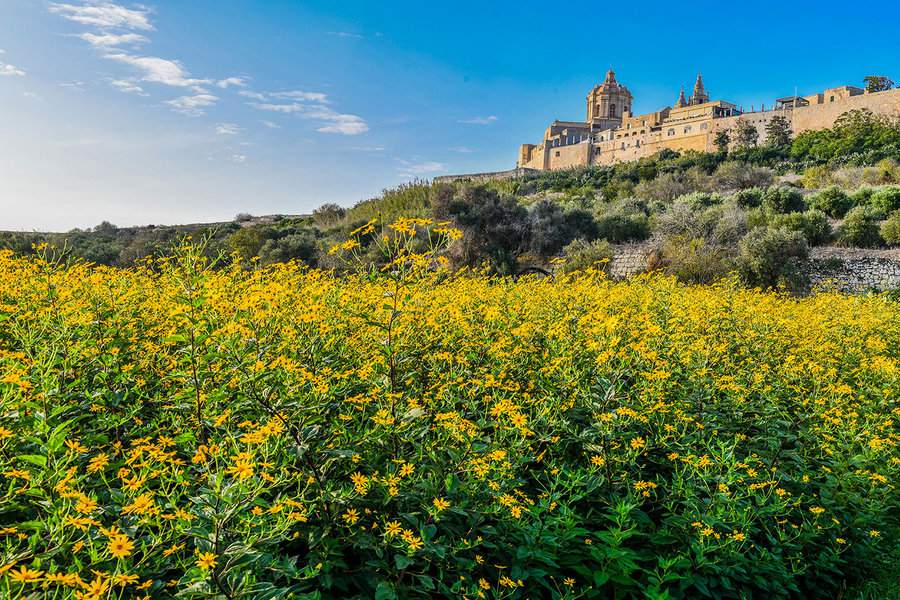 העיר מדינה, שהיתה בעבר בירת מלטה, ממוקמת בראש גבעה מעל נוף נפלא של האי | הצילום באדיבות Visit Malta