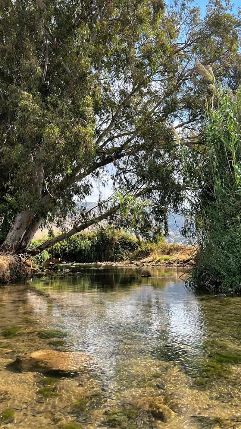 עין אל בארד – המעין הקר. צילום: יואב יעקובי