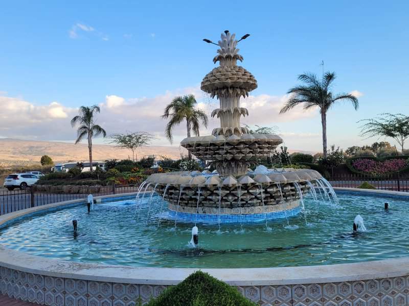 צילום: יואב יעקובי