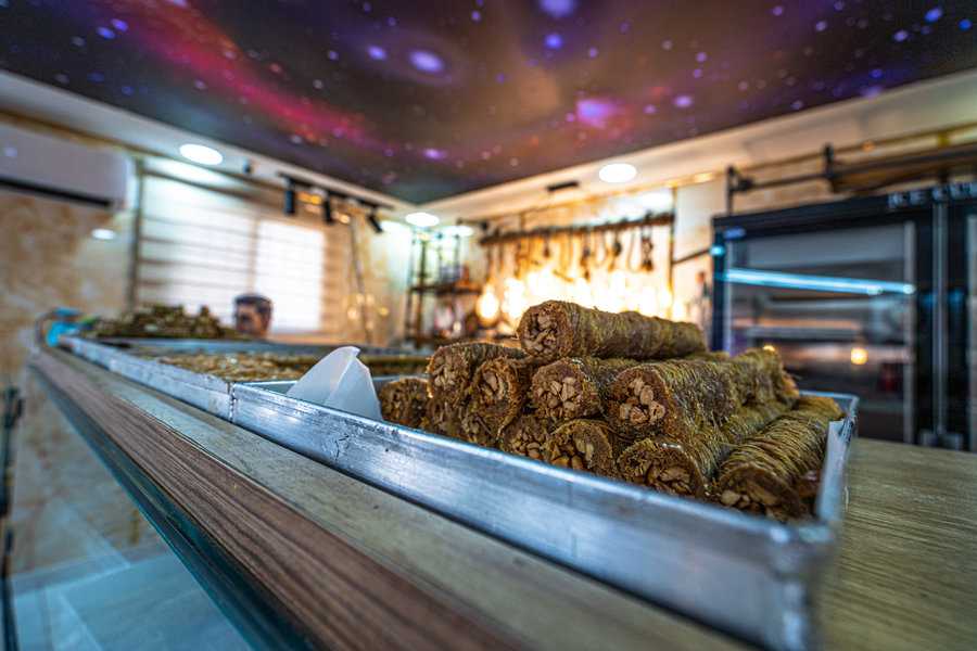 צילום: לימור צדוק