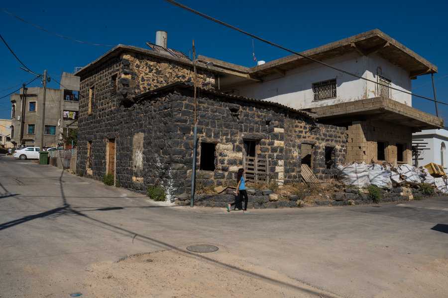 צילום: לימור צדוק