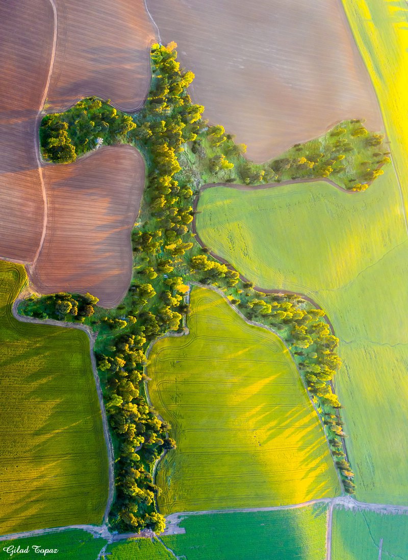 חורשת עצים בבתרונות רוחמה