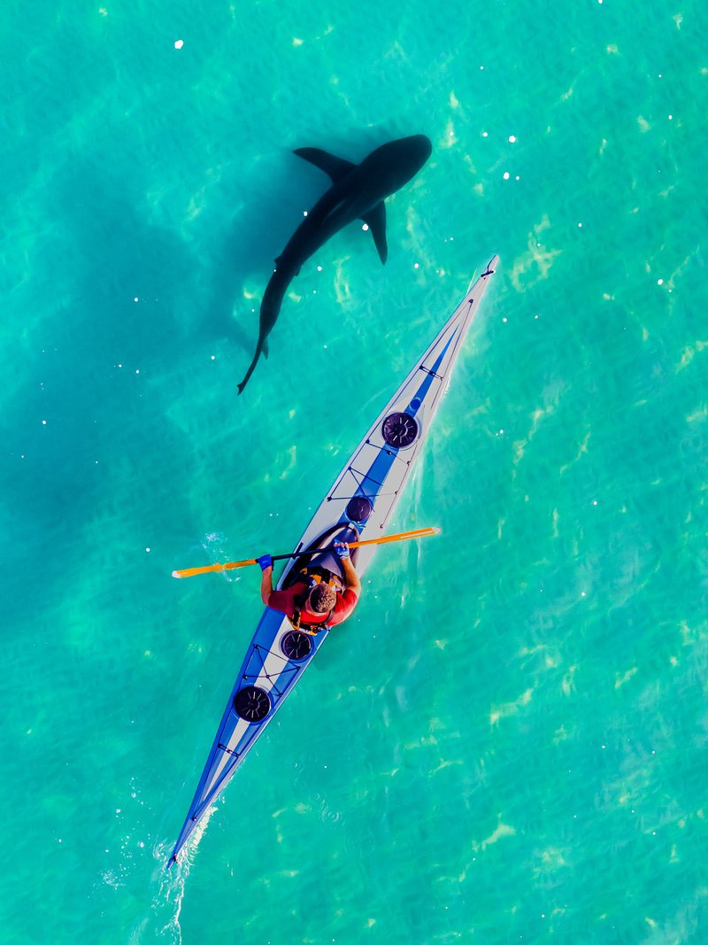 קייאק וכריש בחדרה, זכתה בפרס בתחרות של DJI