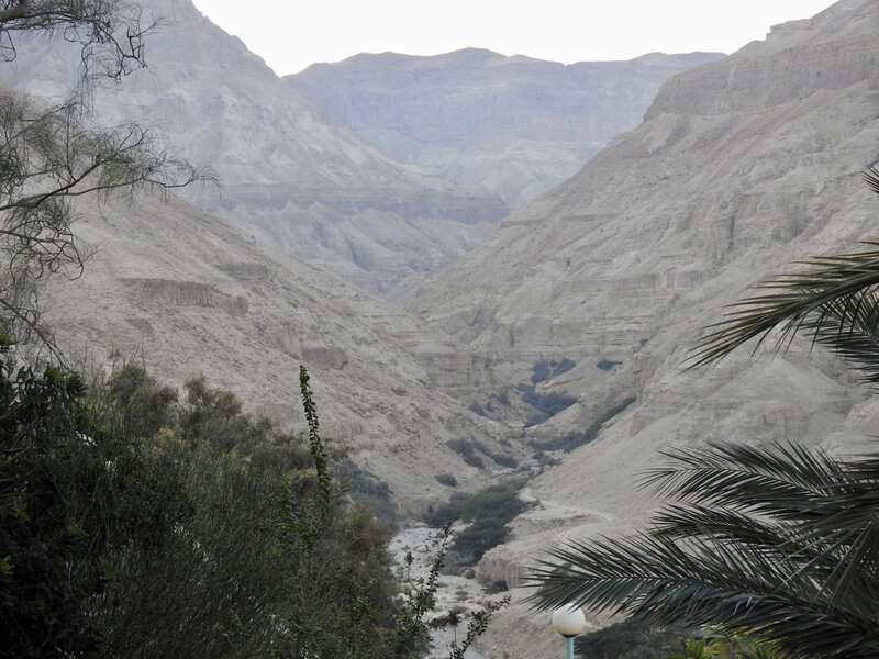 מבין ההרים, מתפרץ הערוץ של נחל ערוגות מנוקד בשברי אבנים וסחף עם כתמים של ירוק