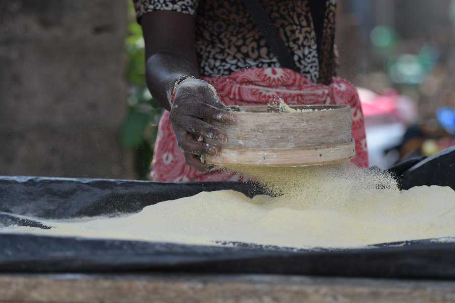 אילנה סטרק, הכנות בחוף השנהב