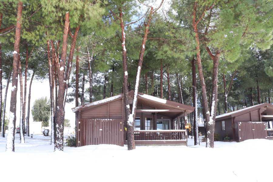 בקתות העץ של קיבוץ אורטל ביום מושלג | צילום: אורן גבאי גולן