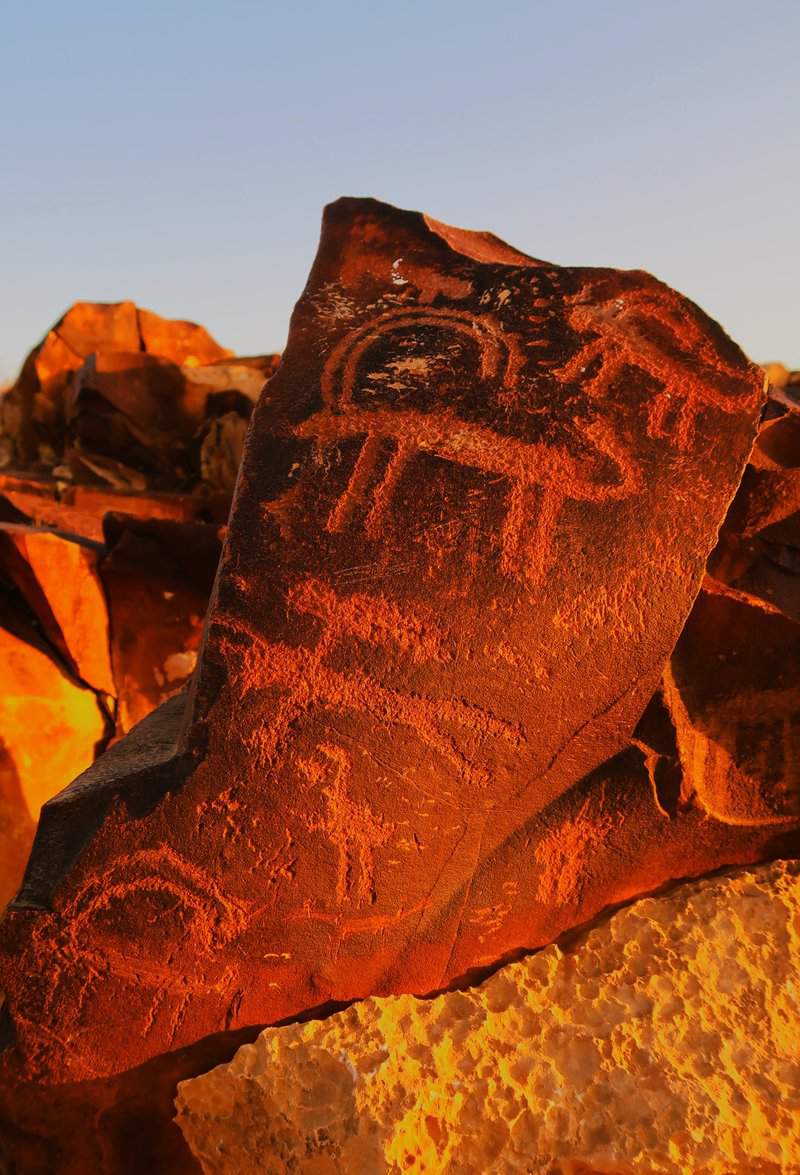 ציורי יעלים, שועלים, רוכבי גמלים וסוסים, ציידים, שלל אותיות ציוריות, וואסמים שהם סימנים שבטיים ועוד סימנים מסתוריים שאיש אינו יודע לבטח את משמעותם