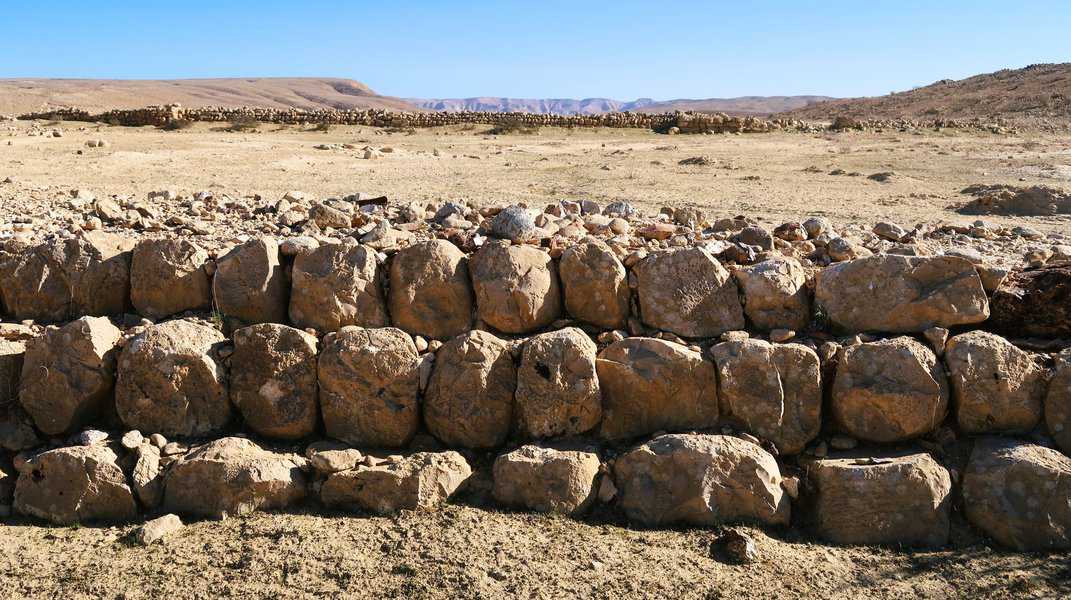 "לאבי יש חוש טכני וידי זהב, הוא קרא ולמד כל חומר שיש בעברית על החקלאות בעת העתיקה, שיטות ההשקייה העתיקות הפשוטות והנכונות של המדבר, כמו שימוש במי נגר עילי, בניית טרסות, תעלות הטייה. קראנו ויישמנו תוך כדי תנועה."