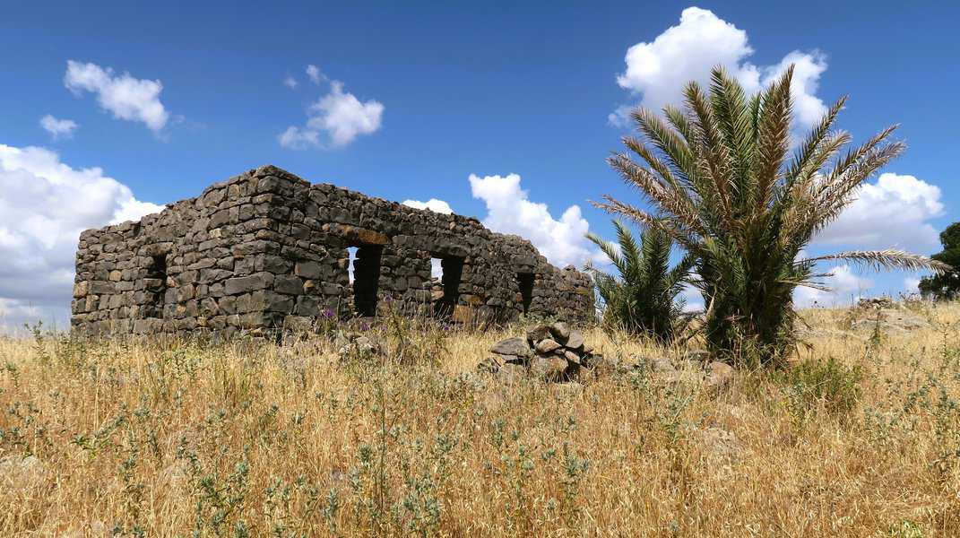 אני נוסע בדרך עפר, חוצה את המסיל של נחל בתרא ויורד בפיתולים מתחת לשרידי הכפר עבסייה. מרחוק הבתים נראים מרשימים על ראש הרמה מעל יער פארק יהודיה