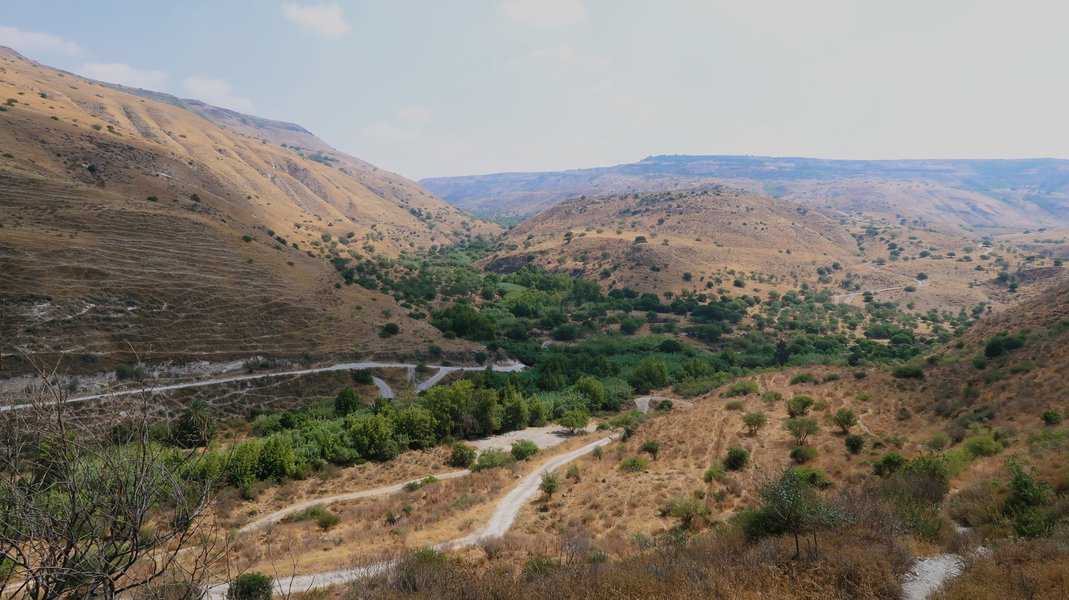 יצאתי לטייל בהליכה מהקרוואן צפונה בשביל הגולן. בין שרידי הכפר עדסייה והמעיינות שזורמים מתוך סבך שיחי הפטל פניתי צפונה במדרון הרמה לעבר נחל סמך. עצי שיזף קוצניים צומחים כאן בצפיפות
