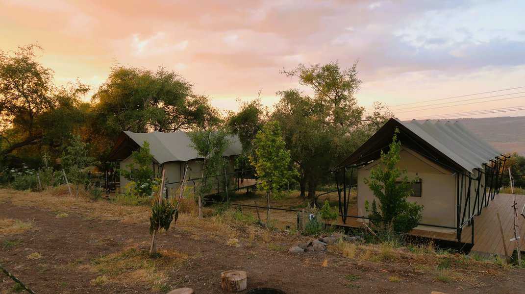 המפגש עם אנשי השבט וחיות הבר הנביט אצל נועה ויותם את רעיון האירוח באהלי ספארי. עשרים שנה של זריעה בדמעה חלפו עד שזכו לקצור ברינה והקימו את לודג' האהלים בשטח המרעה. בין העצים הם נטעו ארבעה המראה הזכיר לי את שמורות הטבע של אפריקה, לודג' אהלים בחיק הטבע