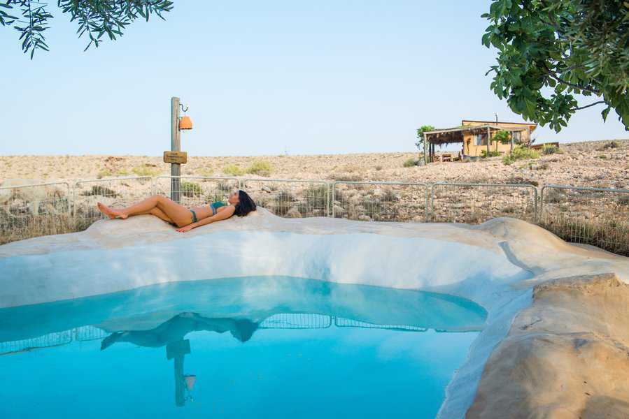 בריכה ונוךף מדברי בחוות כרמי עבדת. מלבד זאת עושים פה גם יין משובח | צילום: נבו פרץ