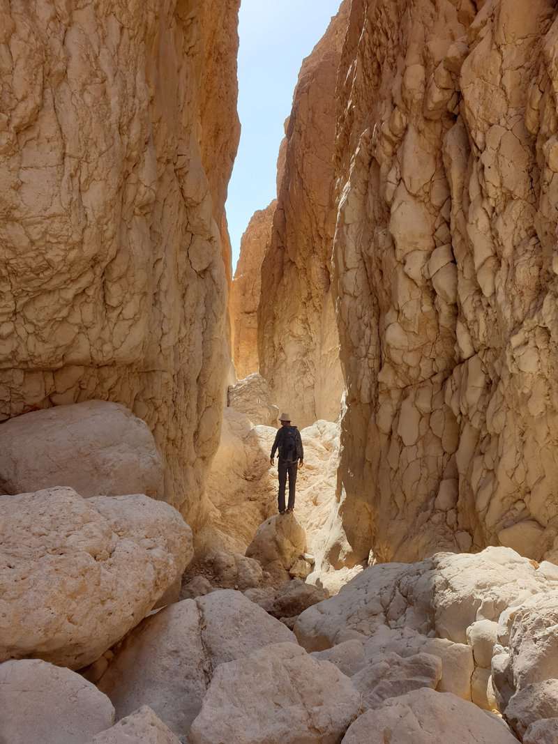 צילום: רונן קלימי