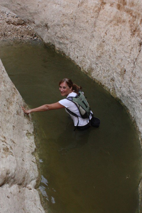 הגבים בעומק הנחל