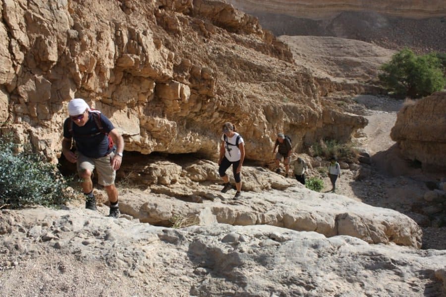 עוד בנחל עזגד