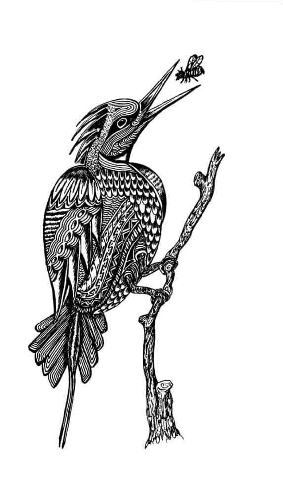 איור: John kum wamgul