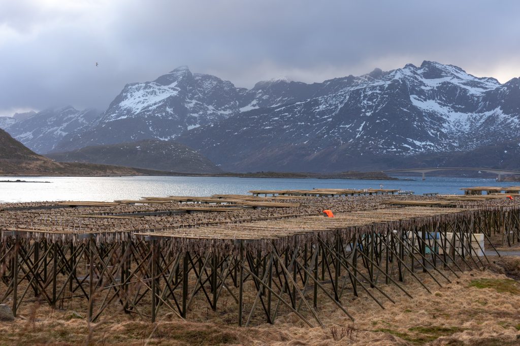 אתרי יבוש דגים