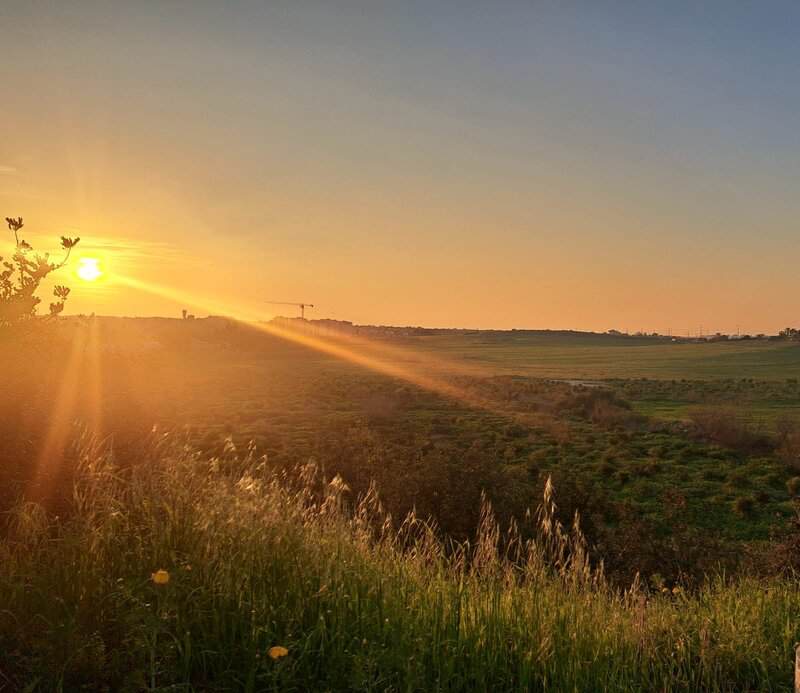 דנה טוינה. בתמונה שצילמה דנה בצבעי שקיעה עזים, קרן האור של השמש שנכנסת פנימה אל תוך עדשת הסמארטפון כמו מלטפת באור חם את הצופה, וזה תענוג לעין. בקורס למדנו איך כדאי לנצל את אור השמש, וכיצד להכניס אותו לצילום באופן מבוקר.