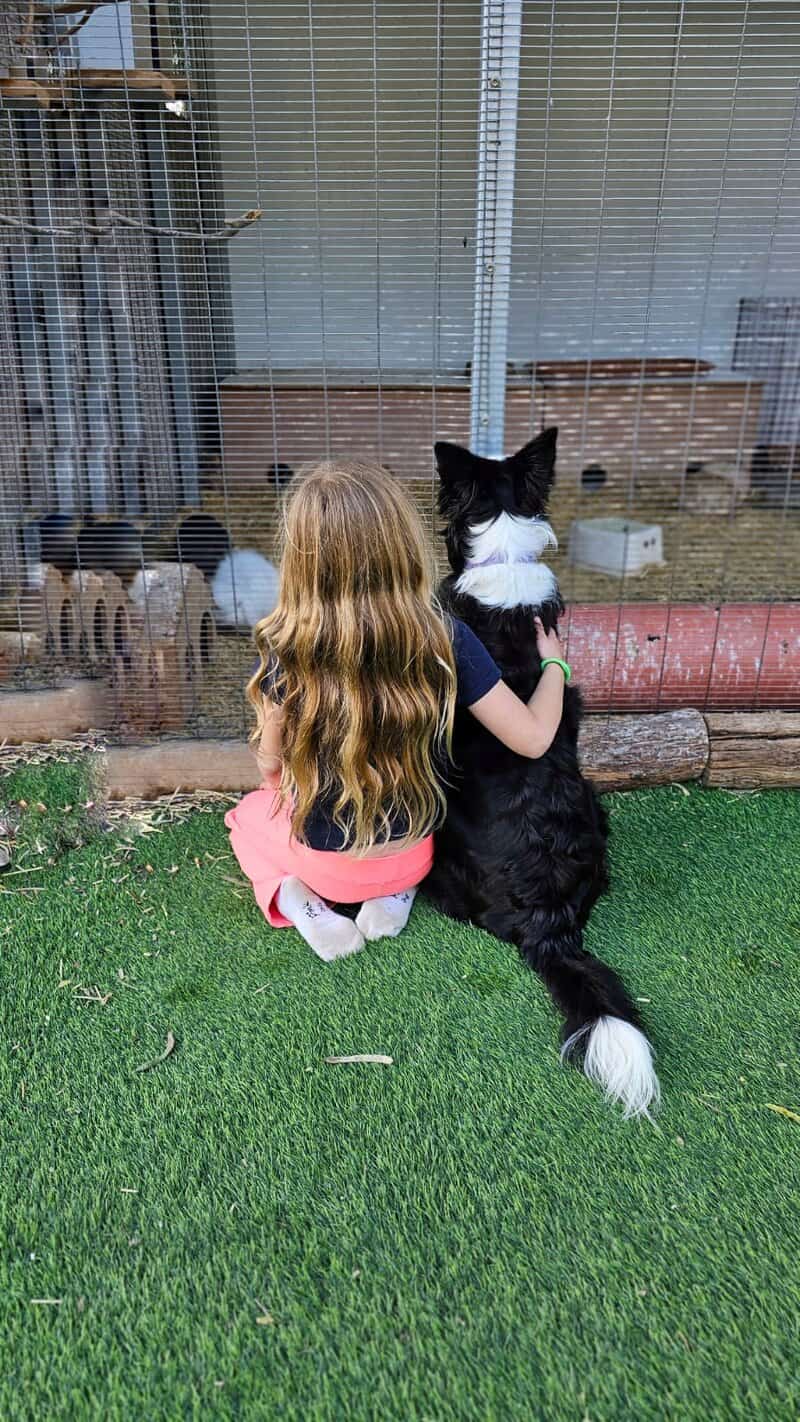 נגה חרמון. בצילום שצילמה נגה נראה ערך הידידות, רעות, חברות. היד על גבו של הכלב אומרת הכל: אנחנו כאן ביחד. לכלב יש זנב, לילדה יש שיער, והם ביחד מביטים על חיות אחרות בכלל. השלב הראשון בצילום תמונה מעניינת הוא זיהוי. ברגע שמזהים רגע שבשבילו שווה להוציא את הסמארטפון ולתעד, אז חלק גדול מהעשייה הצילומית כבר נעשה.