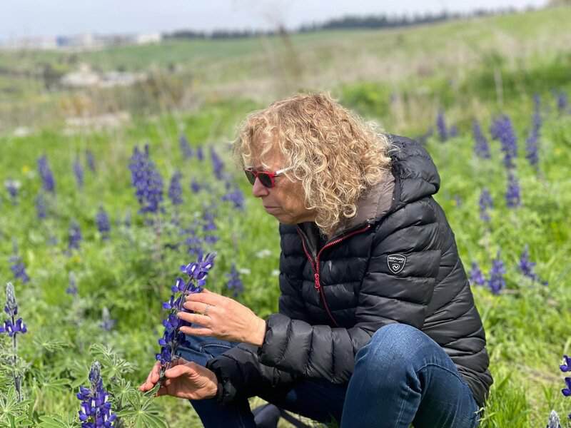 שמשון פרום. בצילום שצילם שמשון נראה הקשר בין האדם לטבע. שפת הגוף של המצולמת, רכינה מטה והרחת פרח התורמוס, מאפשרים לנו לדמיין את עצמנו באותה סיטואציה. ברקע נראה יופיו של הטבע, השמיים וחורשת אורנים. בתמונה יש מסגור יפה של המצולמת בין הפרחים ויש בה ניחוח של אביב ושמחה.